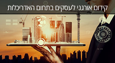 מרובע ברשת קידום אורגני בתחום האדריכלות