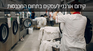 מרובע ברשת קידום אורגני בתחום המכבסות