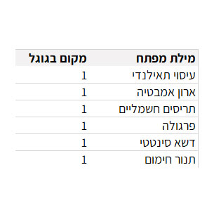 מקום ראשון בגוגל
